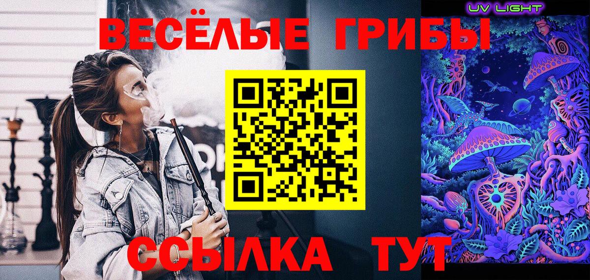 Псилоцибиновые грибы GOLDEN TEACHER  Вход с VPN  Ефремов 