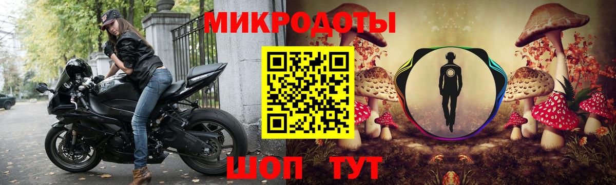 Псилоцибиновые грибы мицелий Ефремов